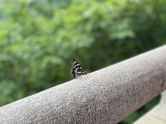 -昭山风景名胜区