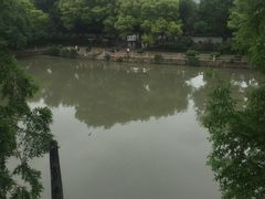 -汇龙潭