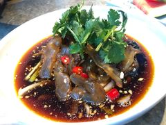 -老板恋上鱼(恒隆广场店)