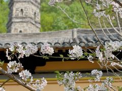 -台州府城(江南长城)
