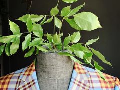 -张洁工作室(服饰定制)