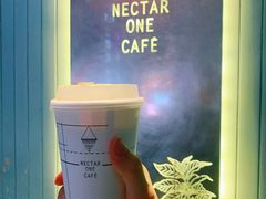 -Nectar One Cafe(勇烈路n1店)