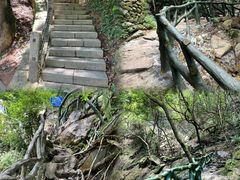 -梧桐山风景名胜区