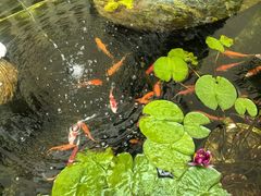 -辽宁友谊宾馆