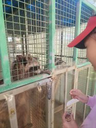 -萌宠亲子动物乐园(槐房万达店)