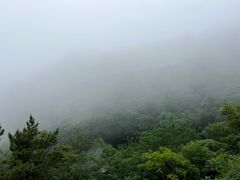 -石老人观光园