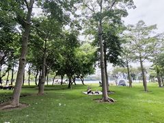 -顺峰山公园