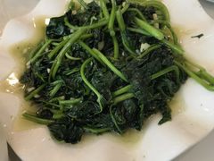 -翡翠老鸭店