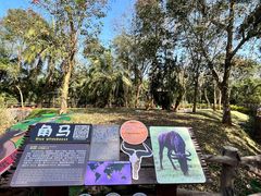 -海南热带野生动植物园