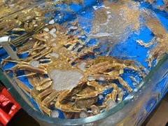 -炊江南·上海菜(国展华漕店)