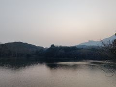 -杭州半山国家森林公园