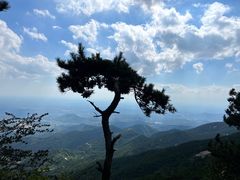 -双峰山国家森林公园-售票处