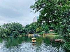 -晓港公园