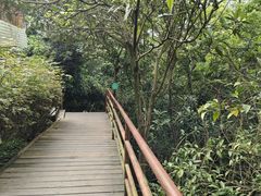 -白云山风景名胜区