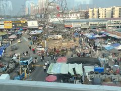 -中环花鸟鱼虫市场