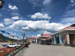 -中国石化崇礼服务区（内环方向）加油站