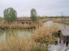 -泗洪洪泽湖湿地景区