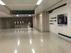 -中国人民解放军总医院