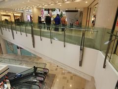 -宽口美蛙鱼头(大唐西市店)