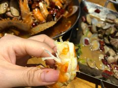 海盐焗大虾-船歌·鱼水饺青岛菜(闽江二路店)