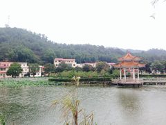 iphone_upload_pic-红山村
