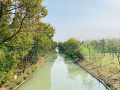 -上海长兴岛郊野公园