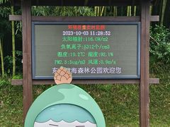 -黄海国家森林公园