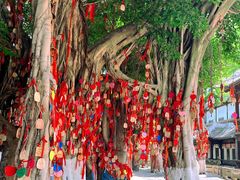 -白帝城·瞿塘峡景区