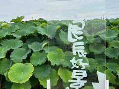 -嘉北郊野公园