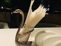 -梧桐