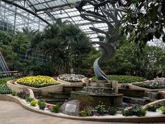 -南山植物园
