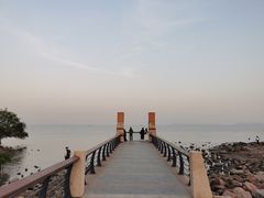 -深圳湾公园(南山区)
