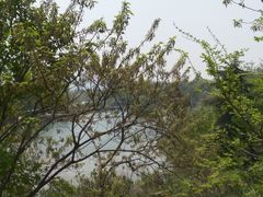 -汤山温泉房车营地 茶温泉