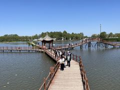 -白洋淀景区