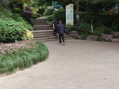 -杭州半山国家森林公园