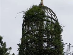 -三鹰之森吉卜力美术馆