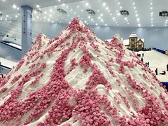 -广州热雪奇迹