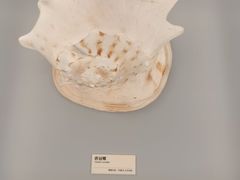 -天津古林古海岸遗迹博物馆