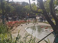-武汉动物园