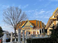 -报恩禅寺