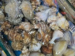 -船奇蒸汽海鲜·闽菜(八市海鲜总店)