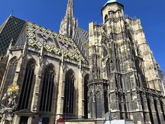 -斯蒂芬主教座堂(Stephansdom)