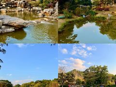 -东莞植物园