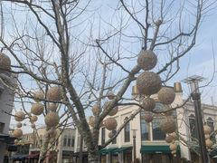 -比斯特上海购物村精品奥特莱斯