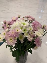 -郡艺医疗美容·微整·眼鼻吸脂