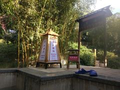 -观唐（国际）度假村温泉