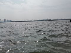 -郑东新区龙湖公共艺术中心