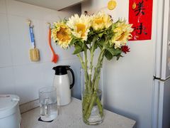 -双季花艺园艺市场(浦东店)