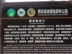 -西双版纳原始森林公园