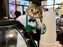 -星巴克(舟山蜈蚣峙店)